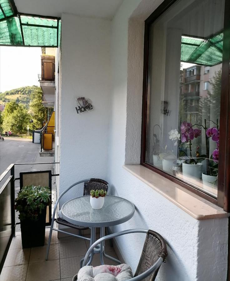 Joy Apartman Apartment Sovata Exterior photo